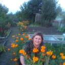 ���������� ����, ���� ������� ������ �����, 54 ����, ������������ 