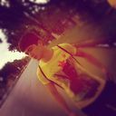 ���������� �������, ���� ������� Abbos, 31 ���, ������������ ��� ������, ����� � ���������, c�������� ���������