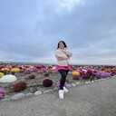 ���������� �����, ���� ������� ������, 36 ���, ������������ 