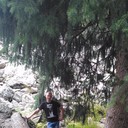 ���������� �������, ���� ������� ����, 37 ���, ������������ ��� ������, ����� � ���������, c�������� ���������