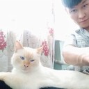 ���������� ������, ���� ������� �����, 42 ����, ������������ ��� ������, ����� � ���������, c�������� ���������