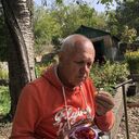  ,   , 65 ,   ,   