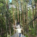  -,   , 37 ,     , c , 