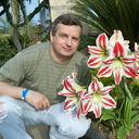 ���������� ������, ���� ������� �����, 68 ���, ������������ ��� ������