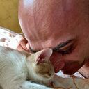  Bitola,   , 40 ,   ,   
