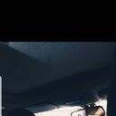 ���������� ����, ���� ������� �����, 38 ���, ������������ ��� ������, ����� � ���������