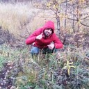  ,    , 31 ,   