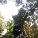  --,   , 55 ,  
