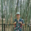 ���������� ���������, ���� ����� �����, 24 ����, ������������ ��� ������, ����� � ���������, c�������� ���������