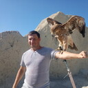 ���������� ������������, ���� ������� ����, 43 ����, ������������ ��� ������, ����� � ���������, c�������� ���������