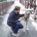 ���������� ������, ���� ������� ����� �����, 46 ���, ������������ ��� ����� � ���������, c�������� ���������, ���������