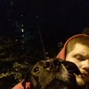 ���������� ������, ���� ������� ������, 33 ����, ������������ ��� ������, ����� � ���������