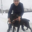 ���������� ���������, ���� ������� �����, 36 ���, ������������ ��� ������, ����� � ���������