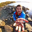 ���������� �����������, ���� ������� ��������, 41 ���, ������������ ��� ������, ����� � ���������, c�������� ���������