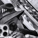 ���������� ���������, ���� ����� �� �������, 23 ����, ������������ ��� ������, ����� � ���������, c�������� ���������, ���������