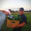 ���������� ������, ���� ������� LION HEART, 28 ���, ������������ ��� ������, ����� � ���������