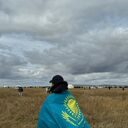 ���������� ���������, ���� ������� �������, 31 ���, ������������ ��� ������, ����� � ���������