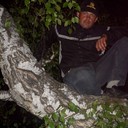 ���������� ��������, ���� ������� �����, 38 ���, ������������ ��� ������, ����� � ���������, c�������� ���������