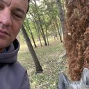 ���������� �������, ���� ������� �������, 50 ���, ������������ ��� ������, ����� � ���������, c�������� ���������