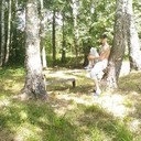 ���������� �����-���������, ���� ������� �������, 38 ���, ������������ ��� ������, ����� � ���������, c�������� ���������