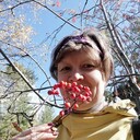  ,   , 52 ,   ,   