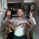  ,   , 48 ,   ,   