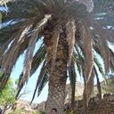 ���������� ������, ���� ������� �������, 39 ���, ������������ ��� ������, ����� � ���������