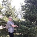  ,   , 60 ,   ,   , c 