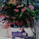 ���������� ��������������, ���� ������� �����, 30 ���, ������������ ��� ������, ����� � ���������, c�������� ���������