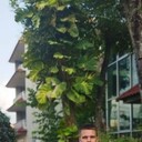  ,   , 29 ,   ,   