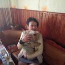  ,   , 41 ,  