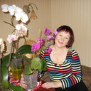 ���������� ��������, ���� ������� ����, 67 ���, ������������ ��� ������, ����� � ���������, c�������� ���������