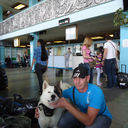 ���������� ������, ���� ������� Roman, 41 ���, ������������ 