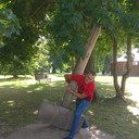 ���������� �����, ���� ������� ��������, 40 ���, ������������ ��� ������, ����� � ���������, c�������� ���������