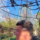 ���������� �������, ���� ������� �����, 44 ����, ������������ ��� ������, ����� � ���������