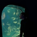 ���������� �����, ���� ����� �������, 25 ���, ������������ ��� ������, ����� � ���������