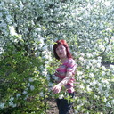  ,   , 53 ,   ,   , c 