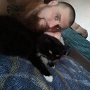  ,   , 41 ,  