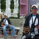  ,   , 53 ,   