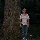  ,   , 38 ,     , c 