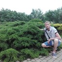 ���������� ������, ���� ������� ���������, 43 ����, ������������ ��� ������, ����� � ���������, c�������� ���������