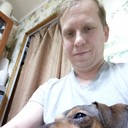  ,   , 51 ,   ,   , 