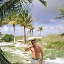  ,   Mitkoval, 44 ,   ,   , c 