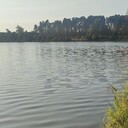 ���������� ������, ���� ������� ������, 29 ���, ������������ ��� ������, ����� � ���������