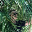 ���������� ����, ���� ������� �������, 28 ���, ������������ ��� ������, ����� � ���������