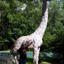 ���������� ���������, ���� ������� ��������, 39 ���, ������������ ��� ����� � ���������, c�������� ���������