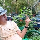 ���������� ������, ���� ������� �������, 37 ���, ������������ ��� ������, ����� � ���������, c�������� ���������