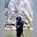 ���������� ���������, ���� ������� ������ �����, 34 ����, ������������ ��� ������, ����� � ���������