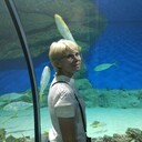 ���������� ������, ���� ������� �����, 57 ���, ������������ ��� c�������� ���������