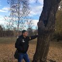 ���������� ���������, ���� ������� �����, 41 ���, ������������ ��� ����� � ���������, c�������� ���������, ���������